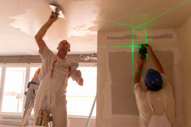 Best Mold Odor Removal Services  in South Amherst, OH